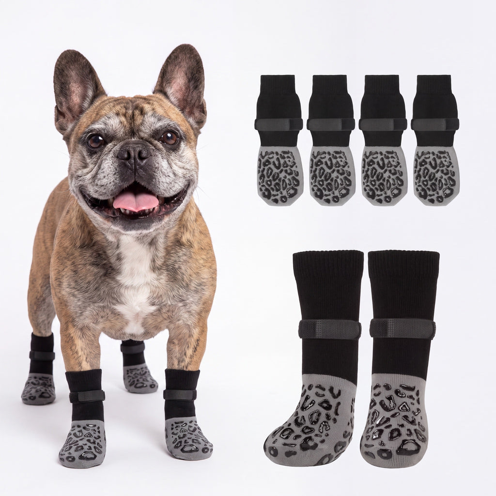 NorthPup Non-Slip Socks on a French Bulldog