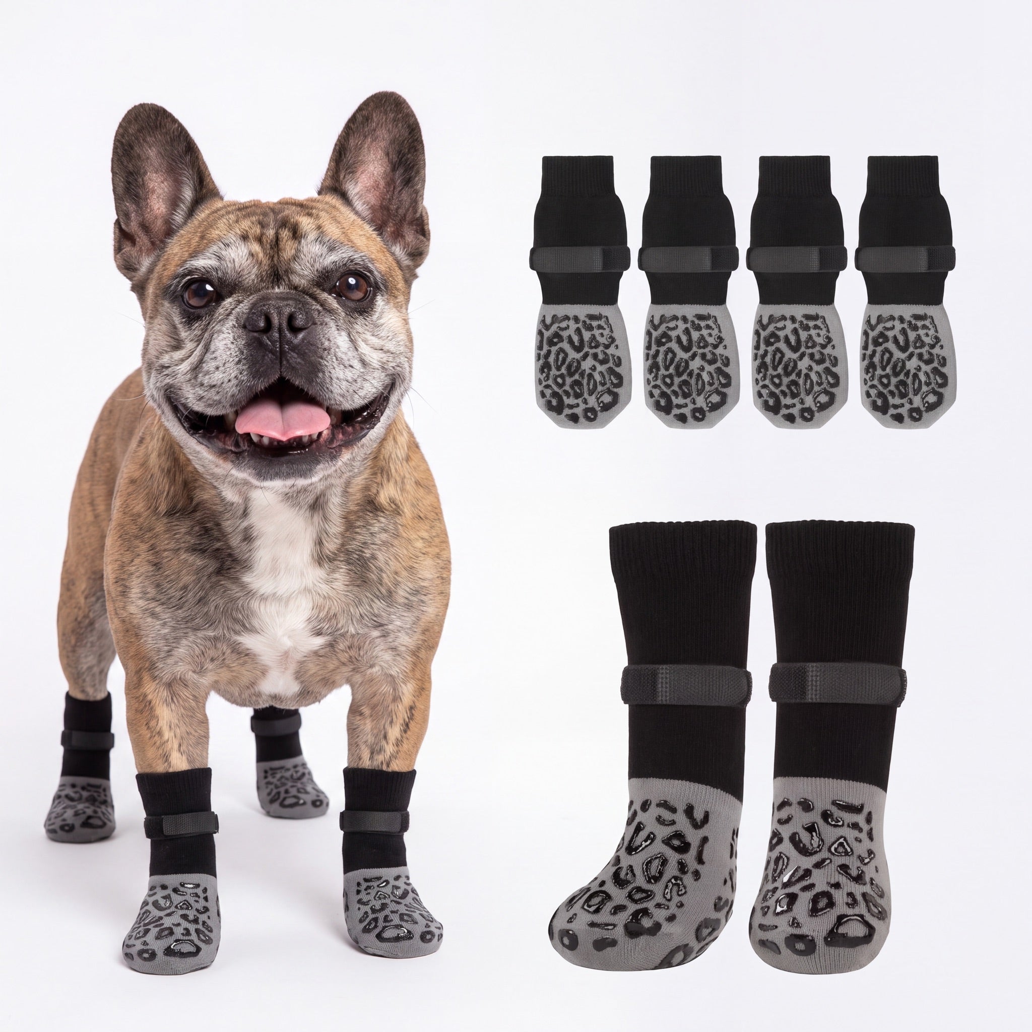 NorthPup Non-Slip Socks on a French Bulldog